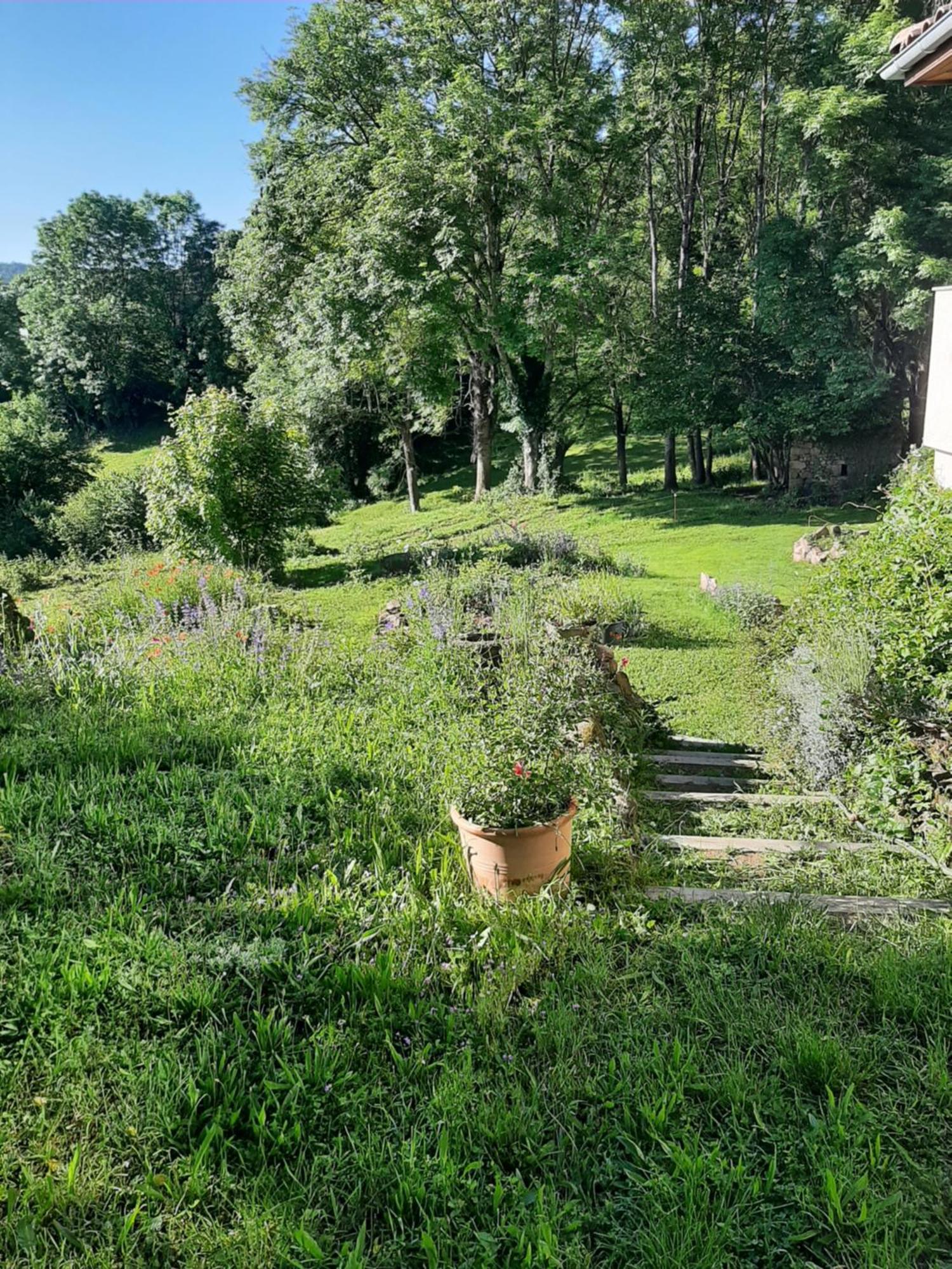 Chambre D'Hotes Charme Et Nature Vieille-Brioude Εξωτερικό φωτογραφία