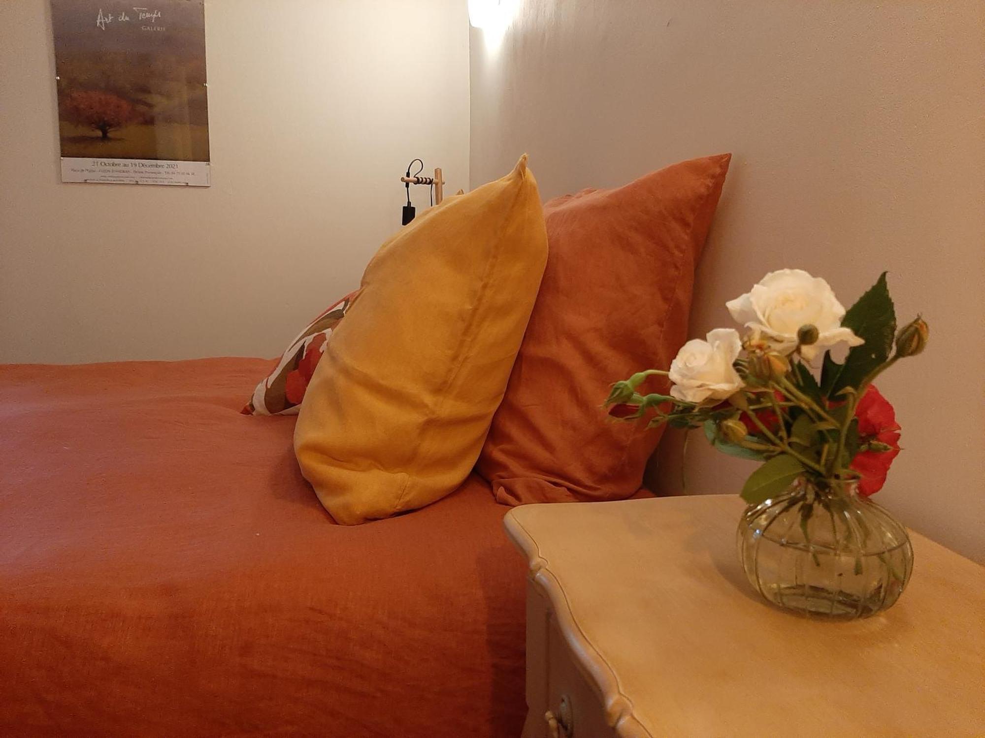 Chambre D'Hotes Charme Et Nature Vieille-Brioude Εξωτερικό φωτογραφία